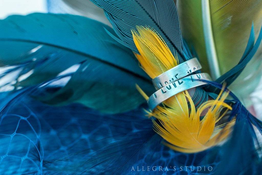 blue parrot feathers and rings